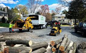 Tree and Shrub Care in Kotzebue, AK